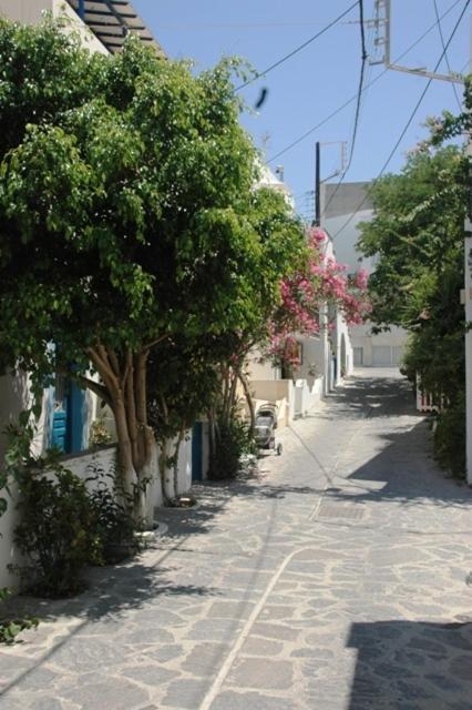 Hotel Anixis Resort Naxos City エクステリア 写真